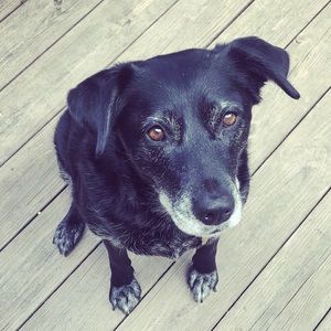 Meet your Posher, Kate